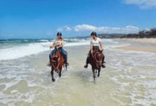 Exploring the Thrills of Horse Riding: A Comprehensive Commentary