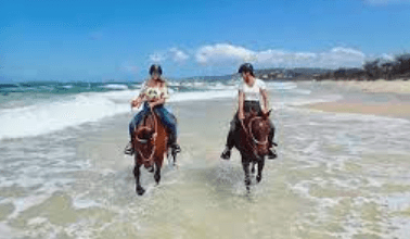 Exploring the Thrills of Horse Riding: A Comprehensive Commentary