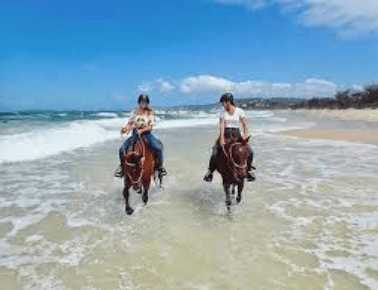 Exploring the Thrills of Horse Riding: A Comprehensive Commentary