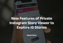 Instagram Story Viewer