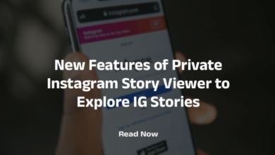 Instagram Story Viewer