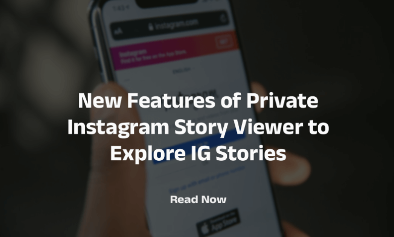 Instagram Story Viewer