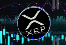 How to Use an XRP Price Calculator for Long-Term Investment Planning
