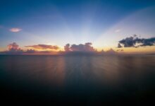 apex horizon start unlocking potential