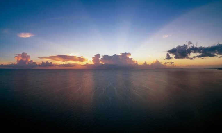 apex horizon start unlocking potential