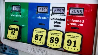 apex surge next level potential