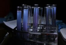 catalyst arc inspiring transformative potential