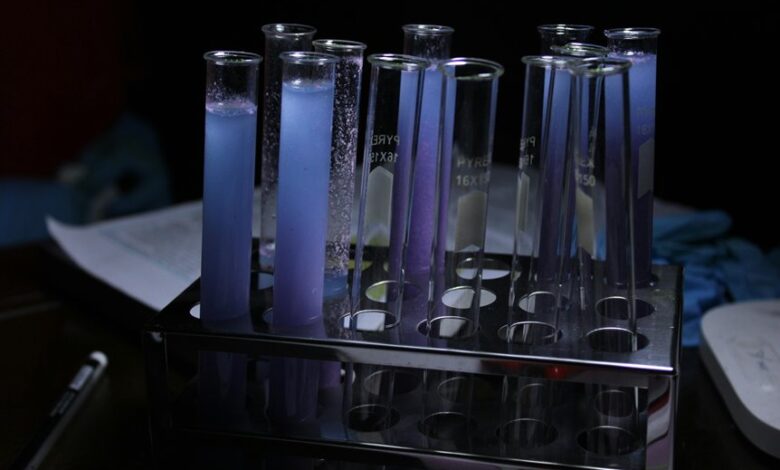 catalyst arc inspiring transformative potential