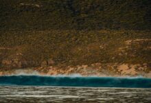 catalyst wave driving transformation potential