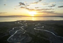 elevation flow start shaping next level horizons