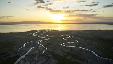 elevation flow start shaping next level horizons