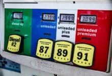 elevation prism start fueling growth