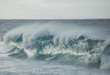 luminous surge starts horizons