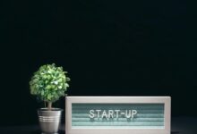 luminous wave drives innovation