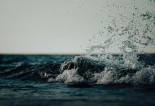 luminous wave sparks transformation