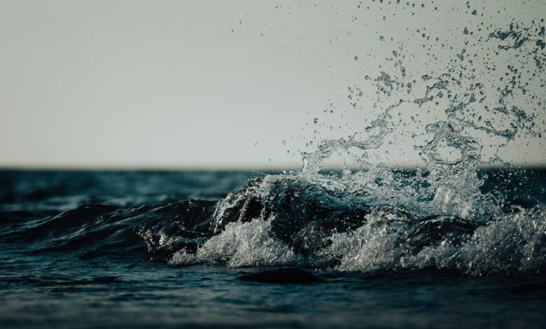 luminous wave sparks transformation