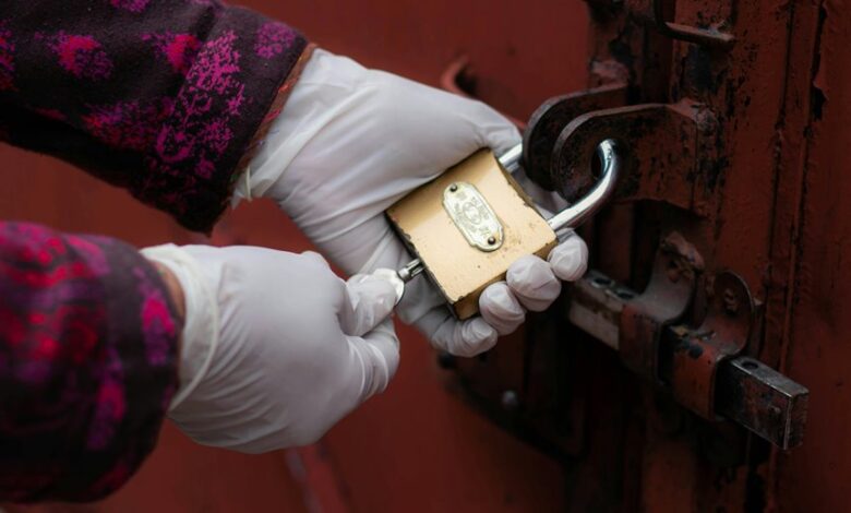 luminous wave visionary growth unlocks