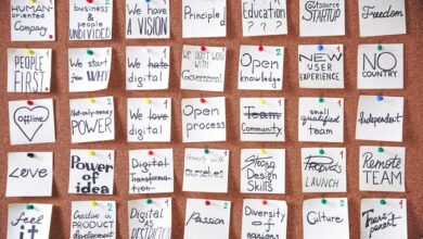 stellar flow start inspiring transformative