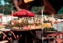 stellar prism start driving opportunities