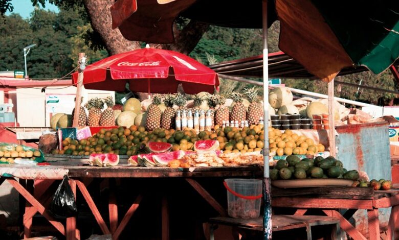 stellar prism start driving opportunities