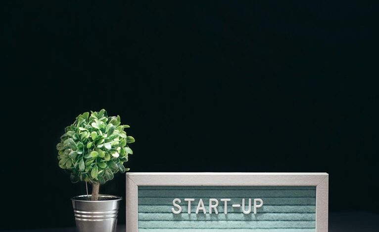 stellar surge inspires innovation growth