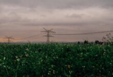 stellar surge start fueling visionary growth