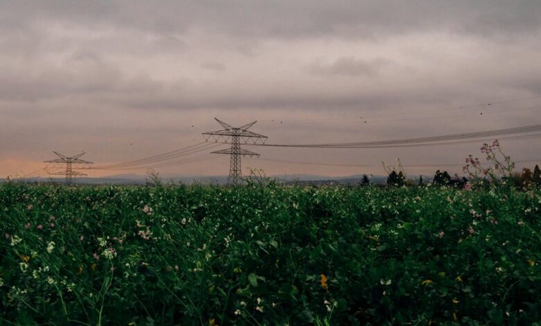 stellar surge start fueling visionary growth