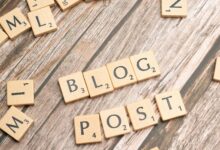 blog discovery portal reveals article content searches