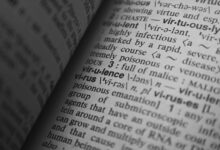 cultural phrase research hub