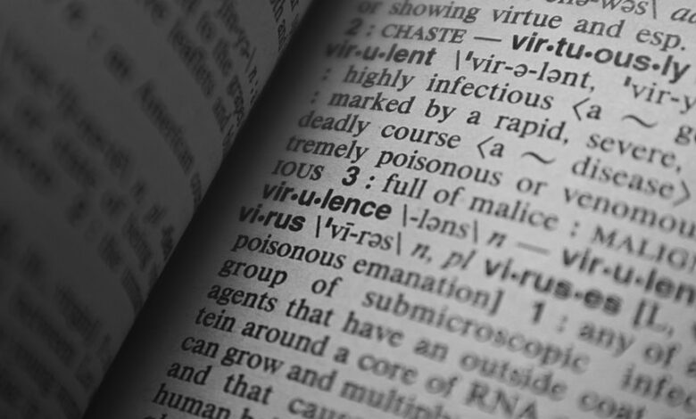 cultural phrase research hub