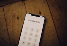 public number records search ids