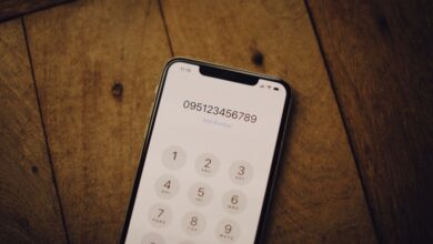 public number records search ids