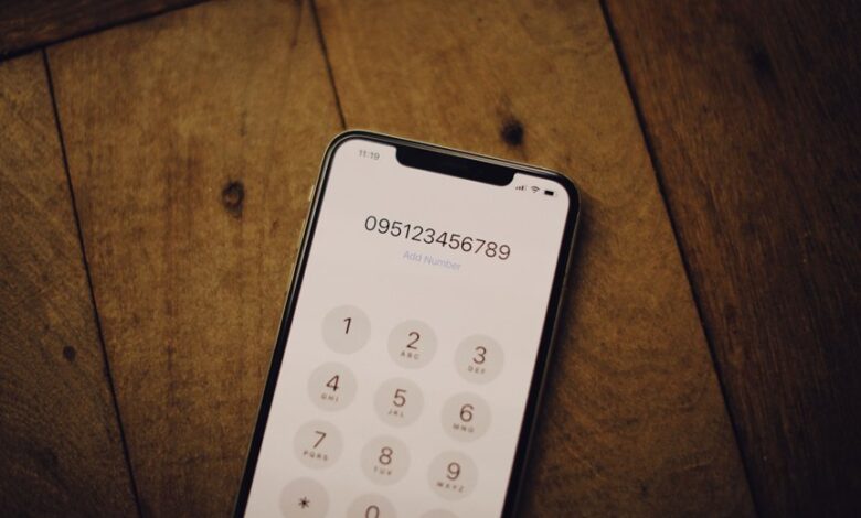 public number records search ids