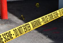 registry entries show investigations