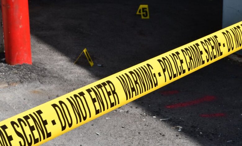 registry entries show investigations