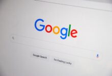 registry search results ids listed