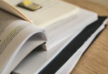 study registry ids list