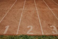 track public numbers registry identifiers